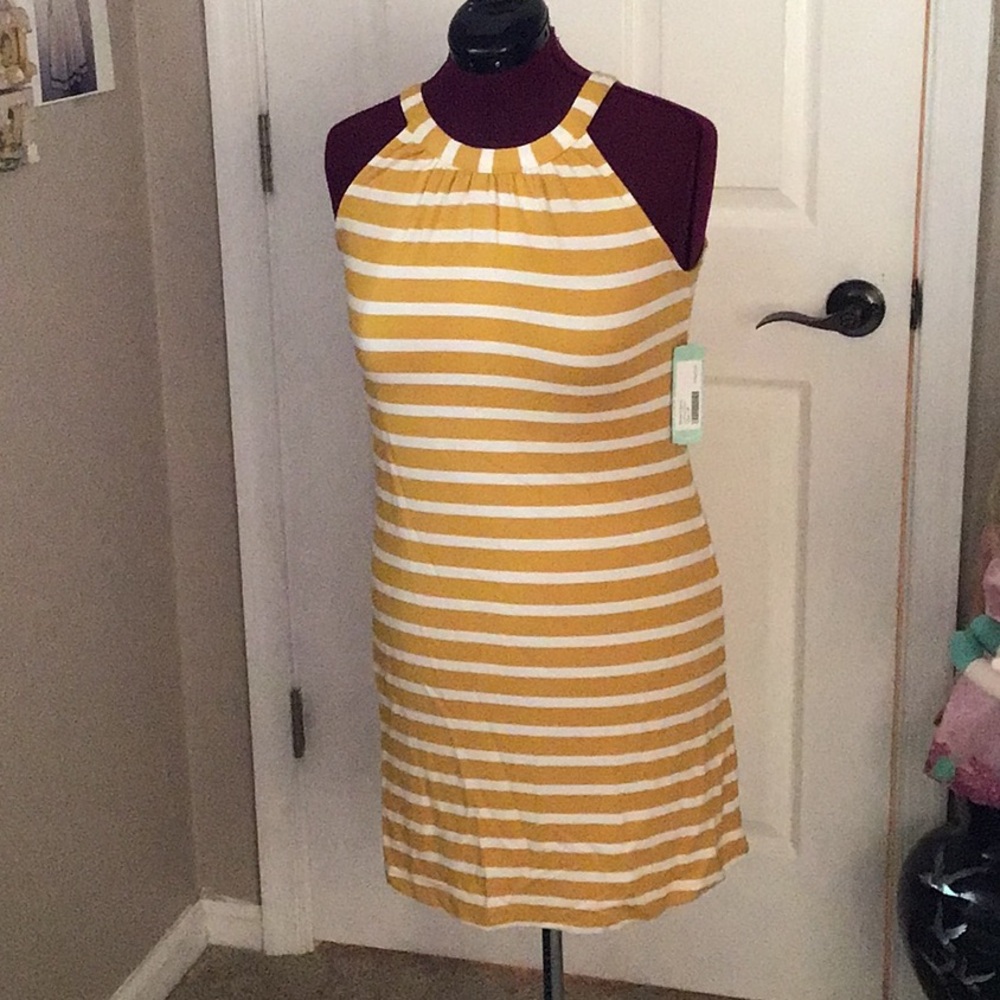 NWT dress